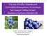 The use of Sulfur Dioxide and Controlled Atmospheres to Increase San Joaquin Valley Grown Blueberry Cultivars Market Life