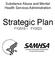 Substance Abuse and Mental Health Services Administration. Strategic Plan FY2019 FY2023