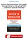 Driven To Distraction (Revised): Recognizing And Coping With Attention Deficit Disorder PDF