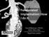 Fenestrated Implantation: How I do it. Tara M Mastracci, FRCSC, FACS, FRCS, MSc Royal Free London