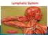 Cardiovascular & lymphatic system both are supply fluid flow in to the body. but bothe are deferent type of fluid..