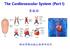 The Cardiovascular System (Part I) 黃敏銓 解剖學暨細胞生物學研究所