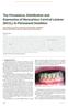 The Prevalence, Distribution and Expression of Noncarious Cervical Lesions (NCCL) in Permanent Dentition