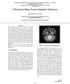 A Survey on Brain Tumor Detection Technique