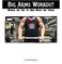 Big Arms Workout. Workout and Tips for Huge Biceps and Triceps. by TheMuscleProgram