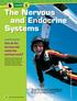 The Nervous and Endocrine Systems