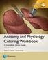 GLOBAL EDITION. Anatomy and Physiology Coloring Workbook. A Complete Study Guide TWELFTH EDITION. Elaine N. Marieb Simone Brito