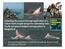 Detec%ng the unseen through applica%on of a robust mark- resight design for es%ma%ng Indo- Pacific humpback dolphin demographics in Bangladesh
