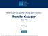 Penile Cancer. NCCN Clinical Practice Guidelines in Oncology (NCCN Guidelines ) Version NCCN.org. Continue