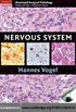 NERVOUS SYSTEM. Cambridge Illustrated Surgical Pathology