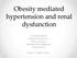 Obesity mediated hypertension and renal dysfunction