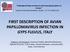 FIRST DESCRIPTION OF AVIAN PAPILLOMAVIRUS INFECTION IN GYPS FULVUS, ITALY