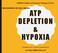ATP DEPLETION & HYPOXIA