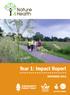 Year 1: Impact Report