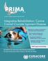 Integrative Rehabilitation: Canine Cranial Cruciate Ligament Disease