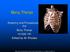 Bony Thorax. Anatomy and Procedures of the Bony Thorax Edited by M. Rhodes