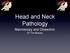 Head and Neck Pathology Macroscopy and Dissection Dr Tim Bracey
