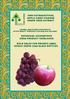 NEW NUTRACEUTICAL APPLE CIDER VINEGAR GRAPE SEED EXTRACT BOTANICAL INNOVATIONS INDIA PRODUCT CATALOGUE