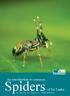 Spiders An introduction to common of Sri Lanka Authored by Ranil P. Nanayakkara