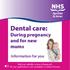 Dental care: During pregnancy and for new mums Information for you