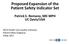 Proposed Expansion of the Patient Safety Indicator Set Patrick S. Romano, MD MPH UC Davis/USA