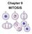 Copyright The McGraw-Hill Companies, Inc. Permission required for reproduction or display. Chapter 9 MITOSIS