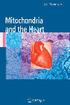 Mitochondria and the Heart