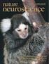 Differential neural coding of acoustic flutter within primate auditory cortex