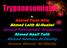 Trypanosomiasis. By Ahmed Faris Alila Ahmed Laith Al-Nuaimi Ahmed Mohammed Al-juboory Ahmed Naaif Talib Ahmed Nadhem Al-Obeidy Osama Ahmed Al-Obeidy