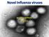 Virology Current viruses Clinical presentation Diagnosis Management antivirals and supportive Vaccination Emergency preparedness Surveillance and