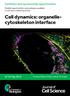 Cell dynamics: organellecytoskeleton interface