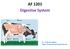 AF 1201 Digestive System. Dr. A.M.J.B. Adikari Dept. of Animal and Food Sciences