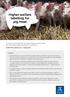 Higher welfare labelling for pig meat