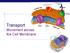 Transport Movement across the Cell Membrane