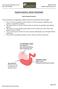 Equine Gastric Ulcer Factsheet