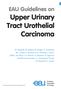 EAU Guidelines on Upper Urinary Tract Urothelial Carcinoma