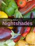 What Are Nightshades? Do Nightshades Increase Inflammation?