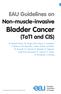 EAU Guidelines on Non-muscle-invasive Bladder Cancer (TaT1 and CIS)