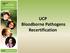 UCP Bloodborne Pathogens Recertification