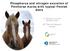 Phosphorus and nitrogen excretion of Finnhorse mares with typical Finnish diets