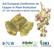 3rd European Conference on Copper in Plant Protection 15 th -16 th November in Berlin, Germany