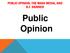 PUBLIC OPINION, THE MASS MEDIA, AND B.F. SKINNER. Public Opinion