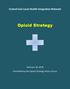 Central East Local Health Integration Network Opioid Strategy