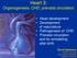 Heart 3: Organogenesis, CHD, prenatal circulation