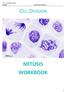T R L J. Version 2, 2018 NAME: OPTION GROUP: CELL DIVISION MITOSIS WORKBOOK