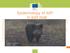 Epidemiology of ASF in wild boar